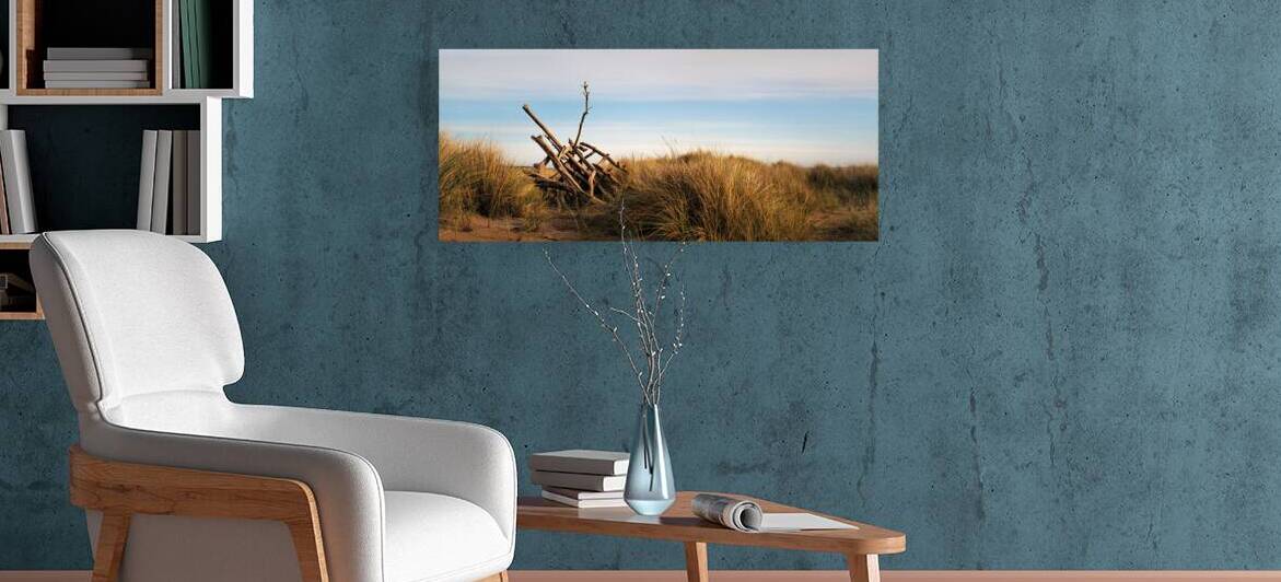 Driftwood by Dave Bowman