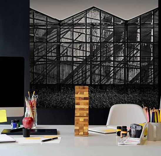 Greenhouse Shadows by Dave Bowman