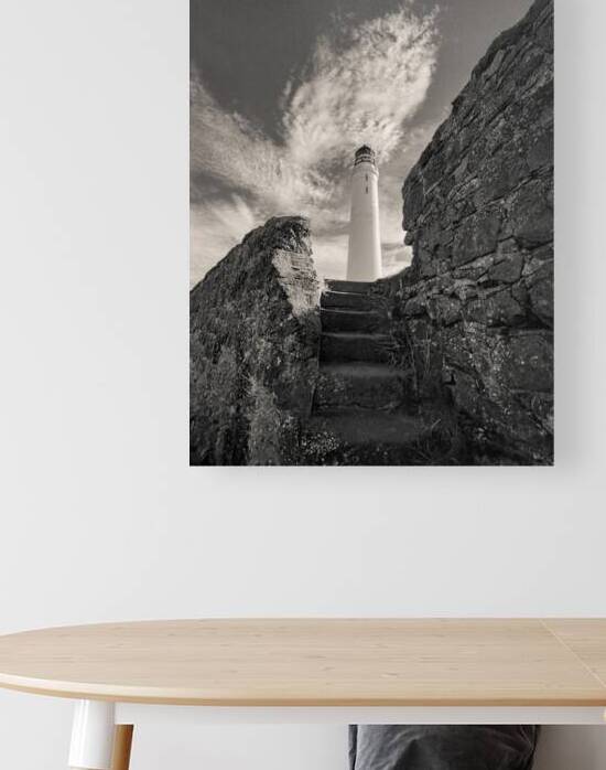 Steps to Scurdie Ness by Dave Bowman