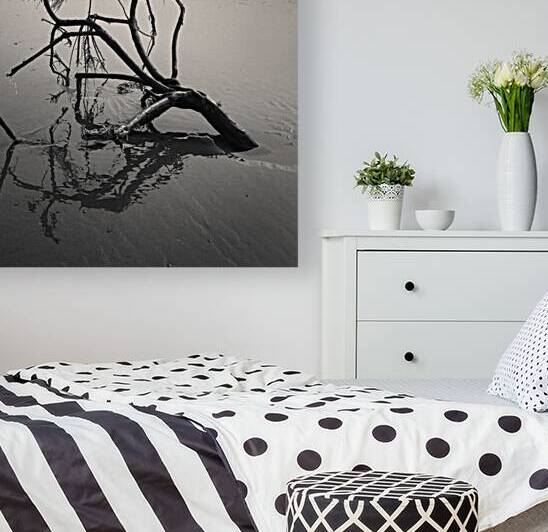 Washed Ashore by Dave Bowman