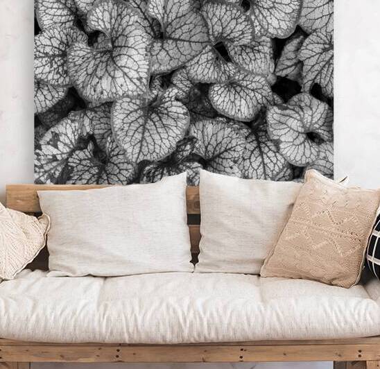 Jack Frost Plant by Dave Bowman