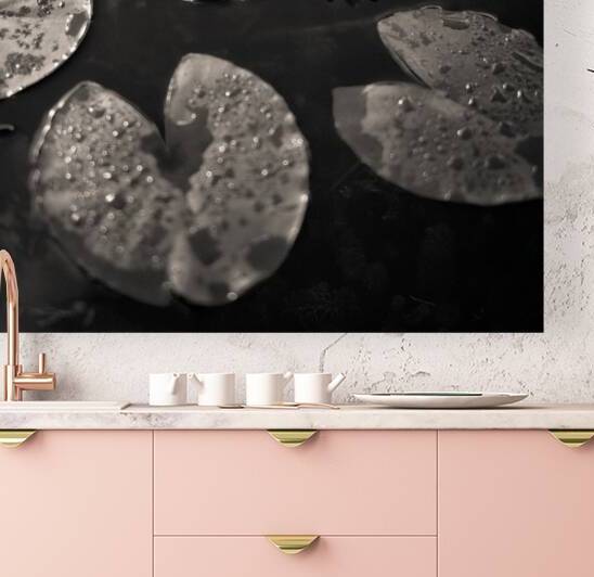 Water Lily After Rain by Dave Bowman