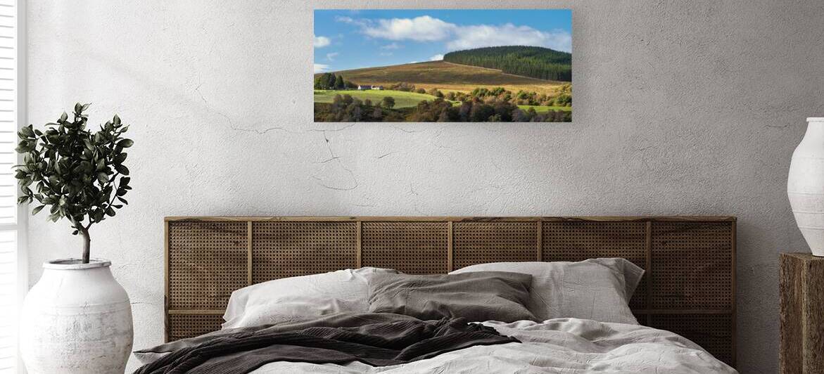 Late Summer in the Cairngorms by Dave Bowman