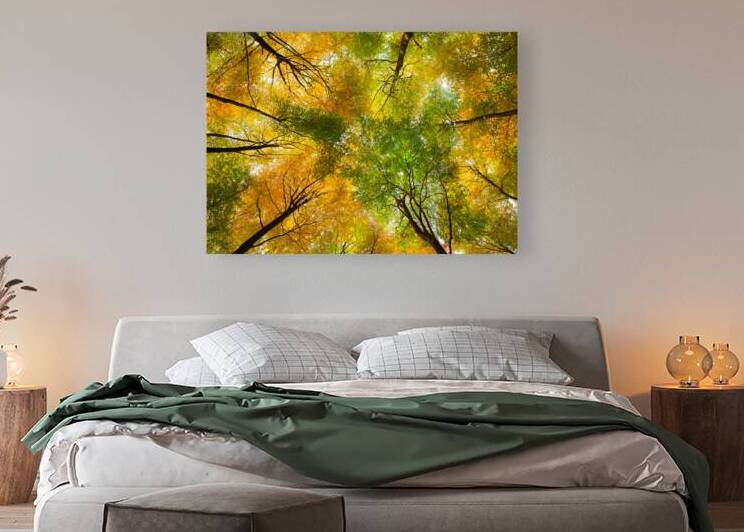 Autumnal Display by Dave Bowman