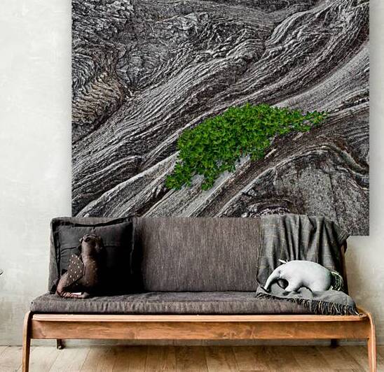 Oasis by Dave Bowman