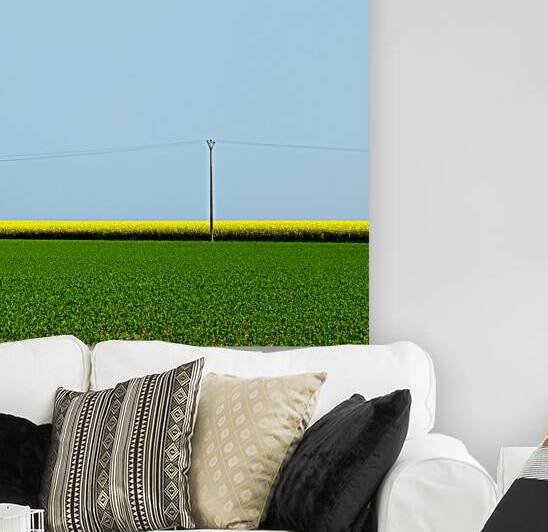 Mustard Sandwich by Dave Bowman