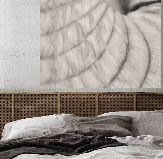 Hosta Leaf by Dave Bowman