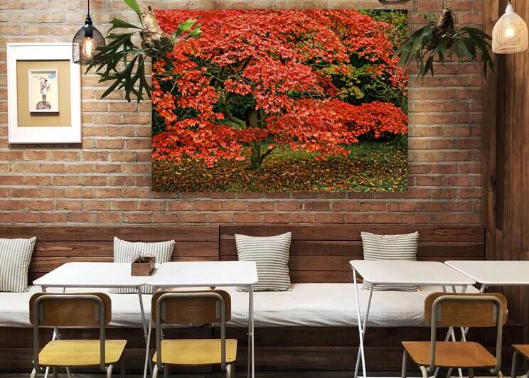 Leaves of Fire by Dave Bowman