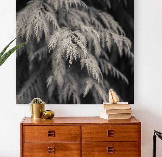 Cypress Leaves by Dave Bowman