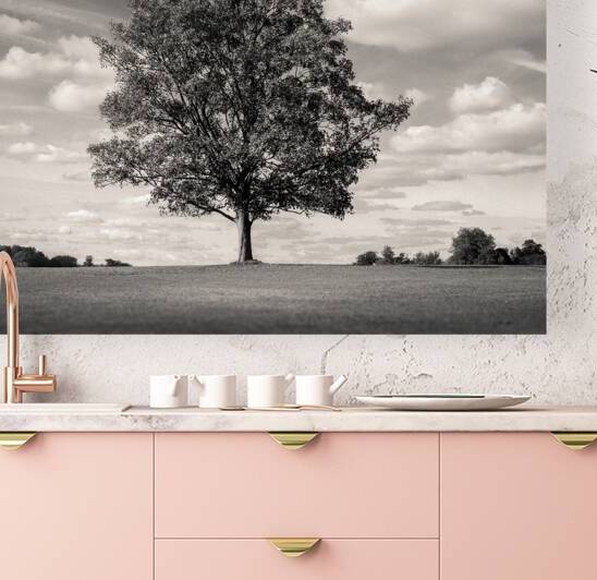 Burghley Oak by Dave Bowman