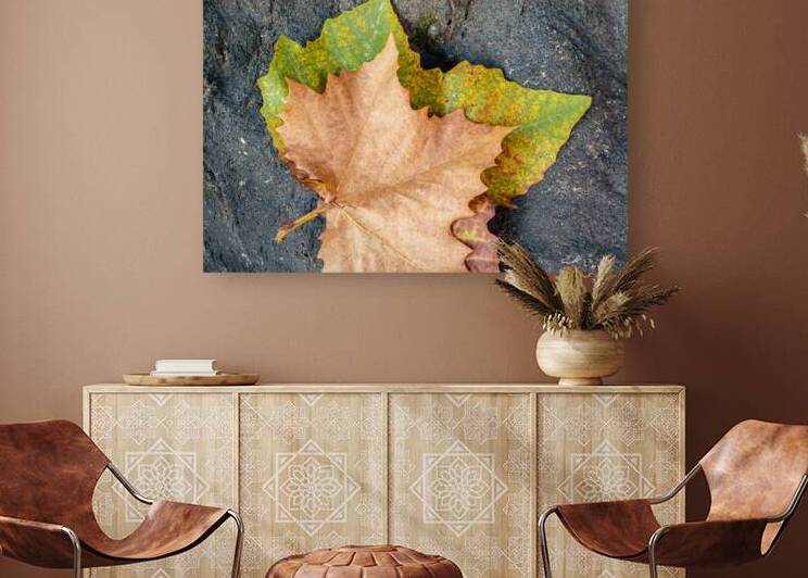 Two Autumn Leaves by Dave Bowman
