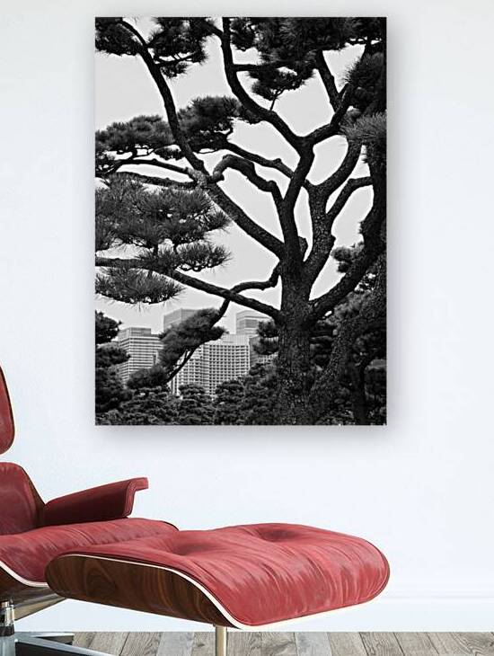 Kokyo Gaien Branches by Dave Bowman