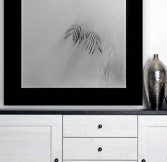 Kyoto House Plant by Dave Bowman