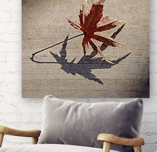 Fallen Beauty by Dave Bowman