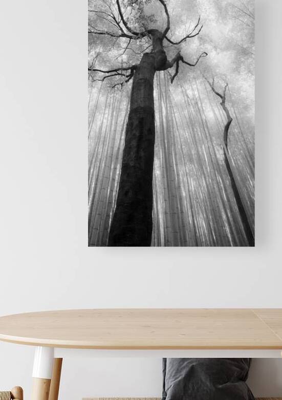 Fractured Rhythm by Dave Bowman