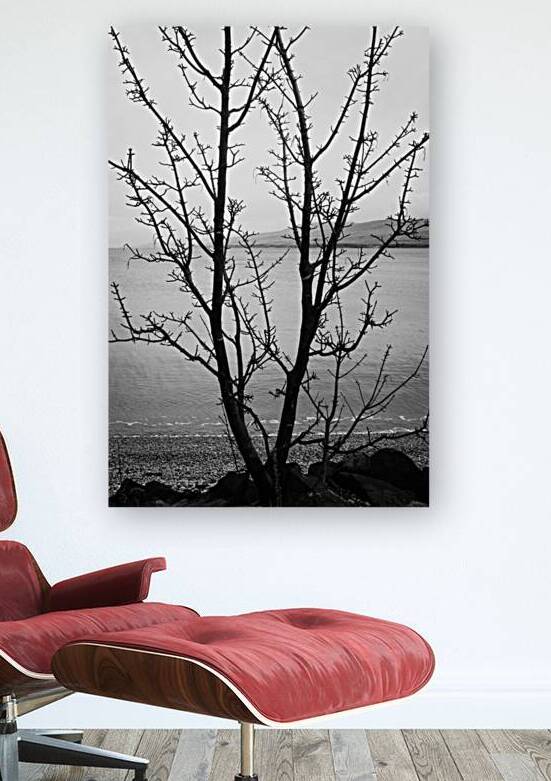 Islay Tree by Dave Bowman