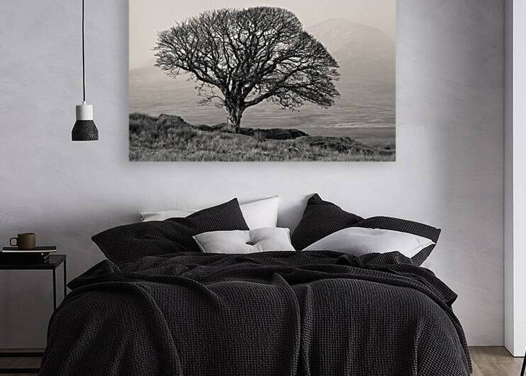 Islay Sentinel by Dave Bowman