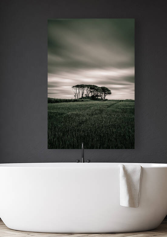 Crawton Copse by Dave Bowman