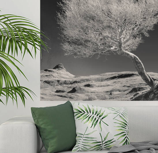 Highland Tree and Peak by Dave Bowman