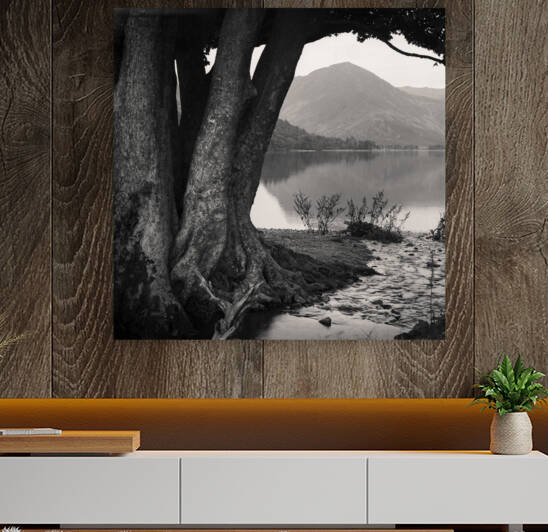  Rivulet to Buttermere by Dave Bowman