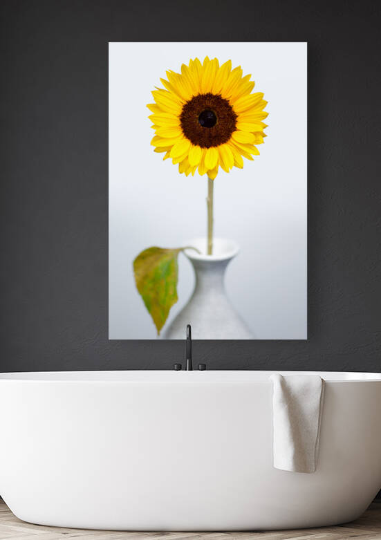 Sunflower by Dave Bowman