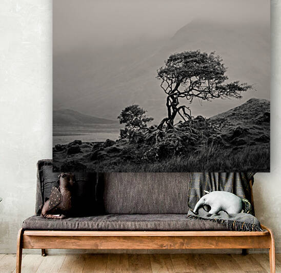 Skye Tree by Dave Bowman