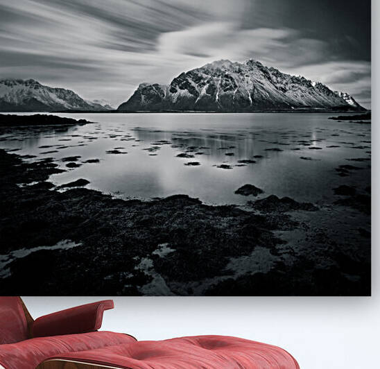 Lofoten Beauty by Dave Bowman