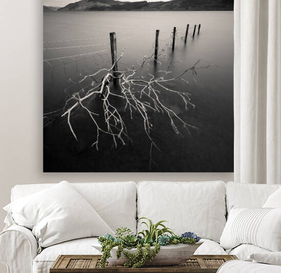 Stuck by Dave Bowman