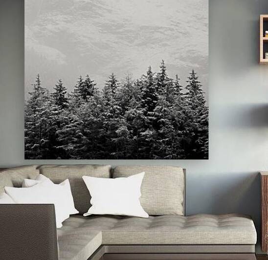 Snowcapped Firs by Dave Bowman