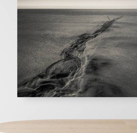 Seilebost Sand Tracks by Dave Bowman