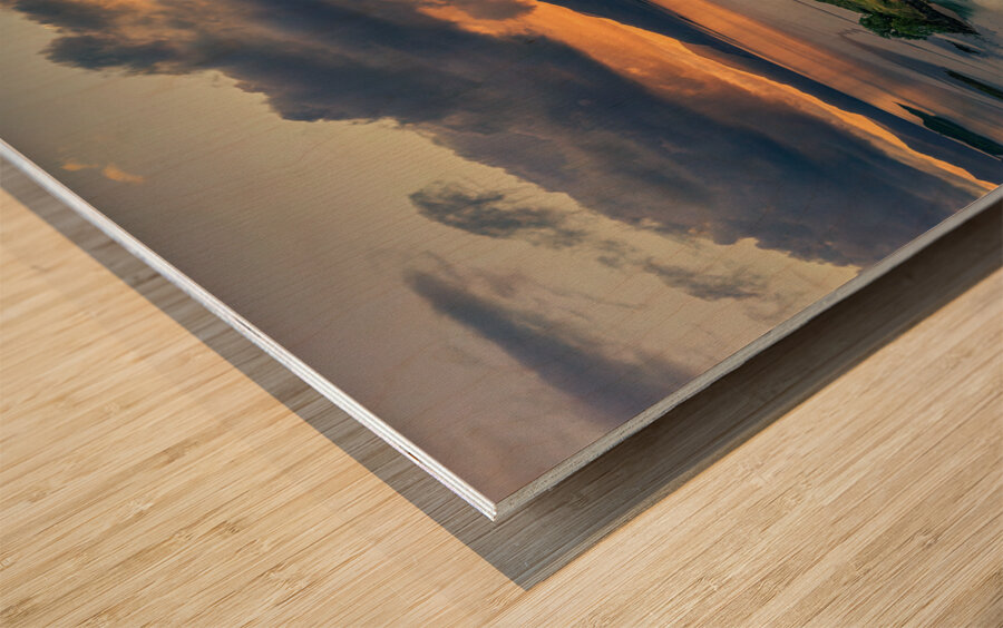 Castle Stalker Wood print