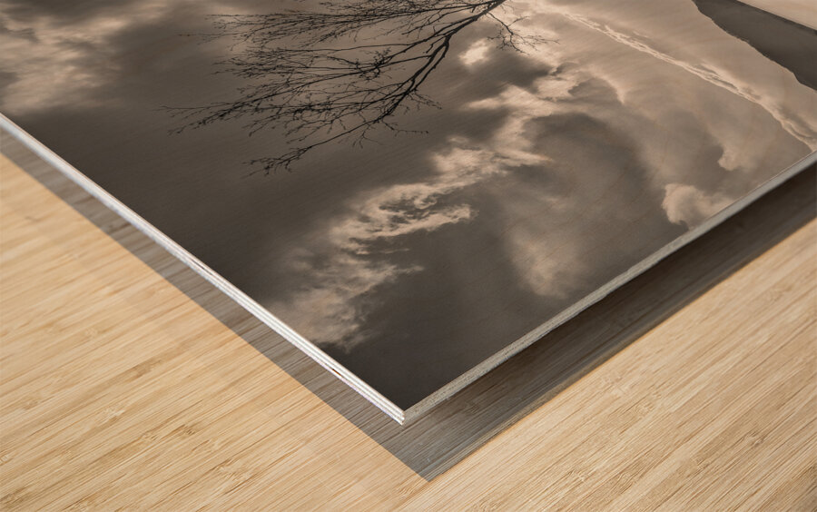 The Lonely Tree Wood print