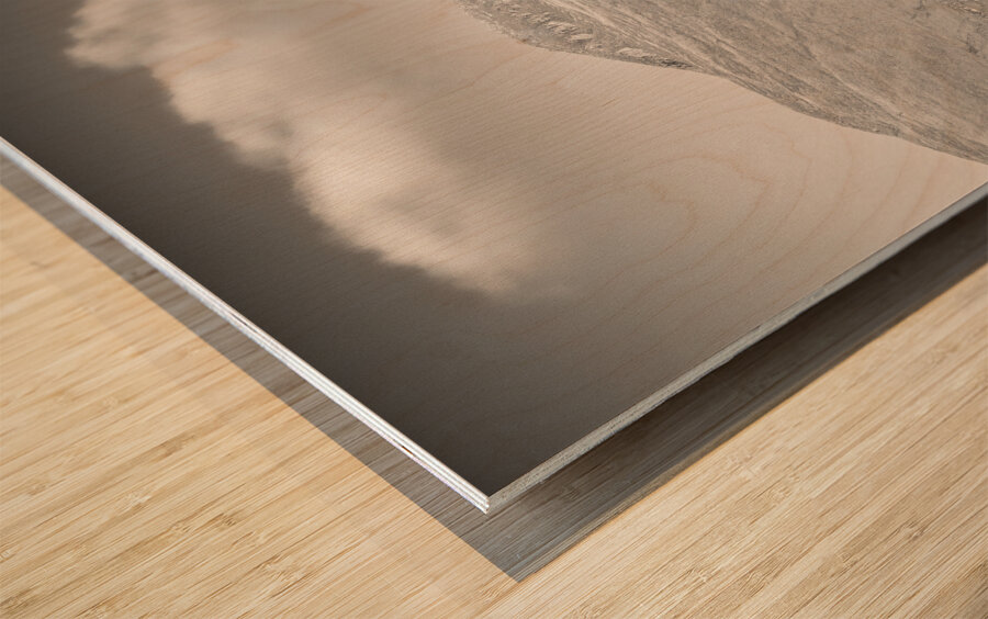 Glen Shiel Tree Wood print