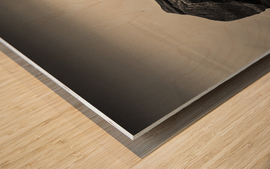 Dawn Flight Wood print