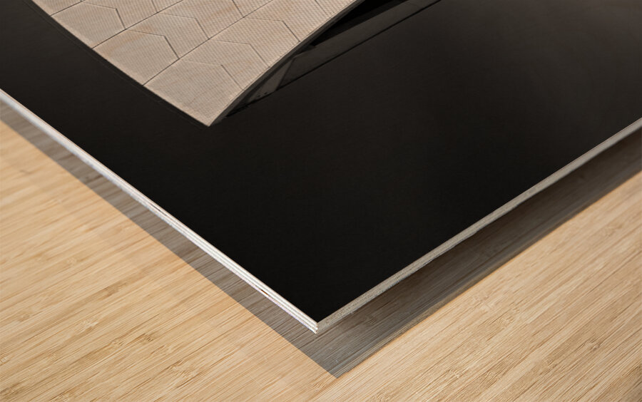 Opera House Wood print