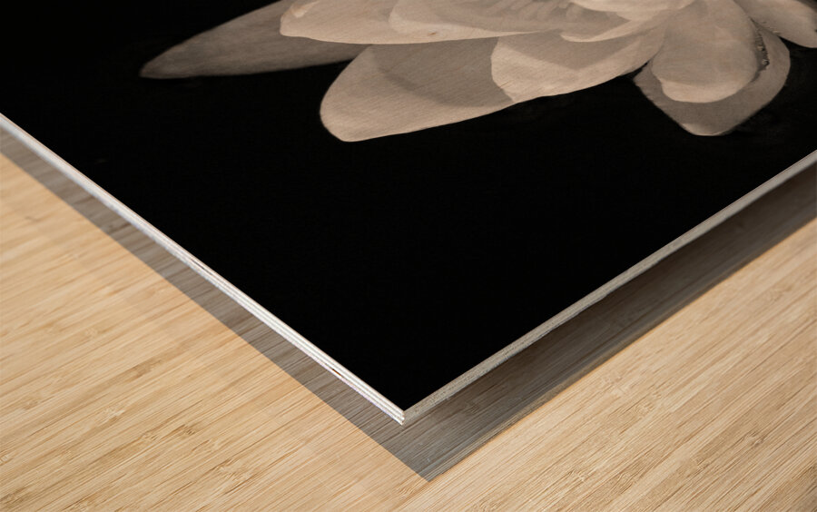 Water Lily Wood print