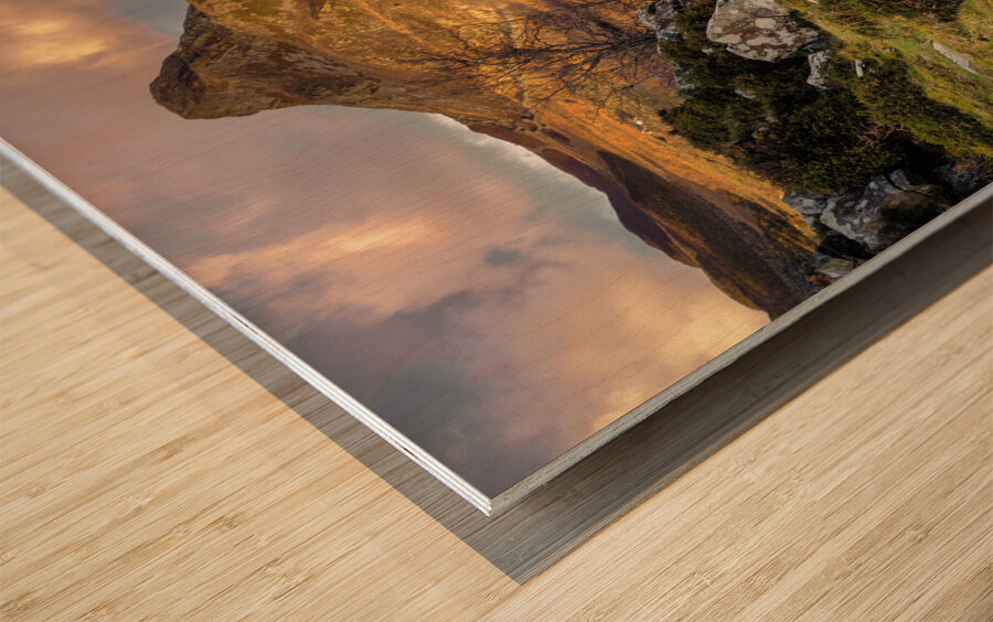 Cregennen Boat House Wood print