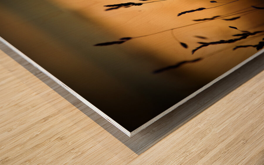 The Field Wood print