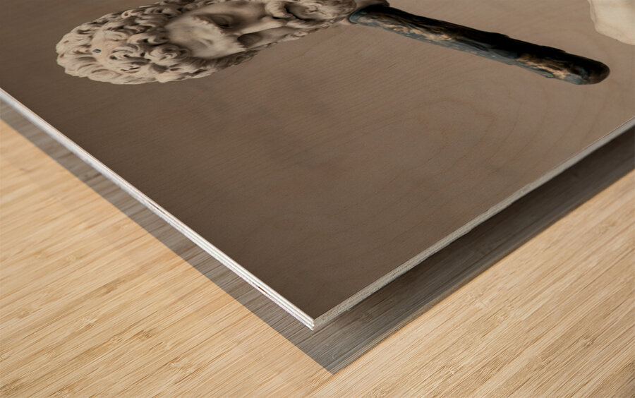 Hercules and the Centaur Nessus Wood print