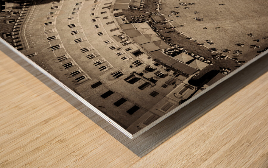 Siena from Above Wood print