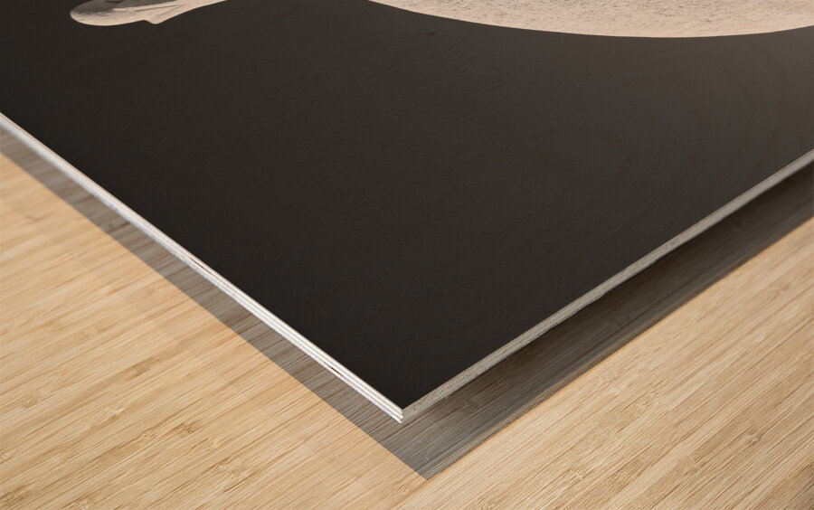 Dubrovnik Wall Turret Wood print