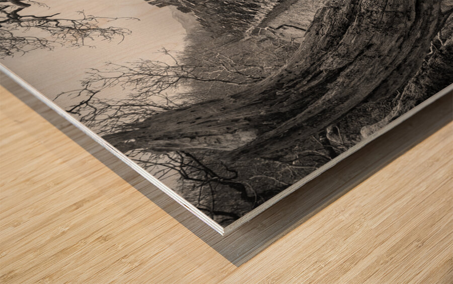 Anglesey Barracks Wood print