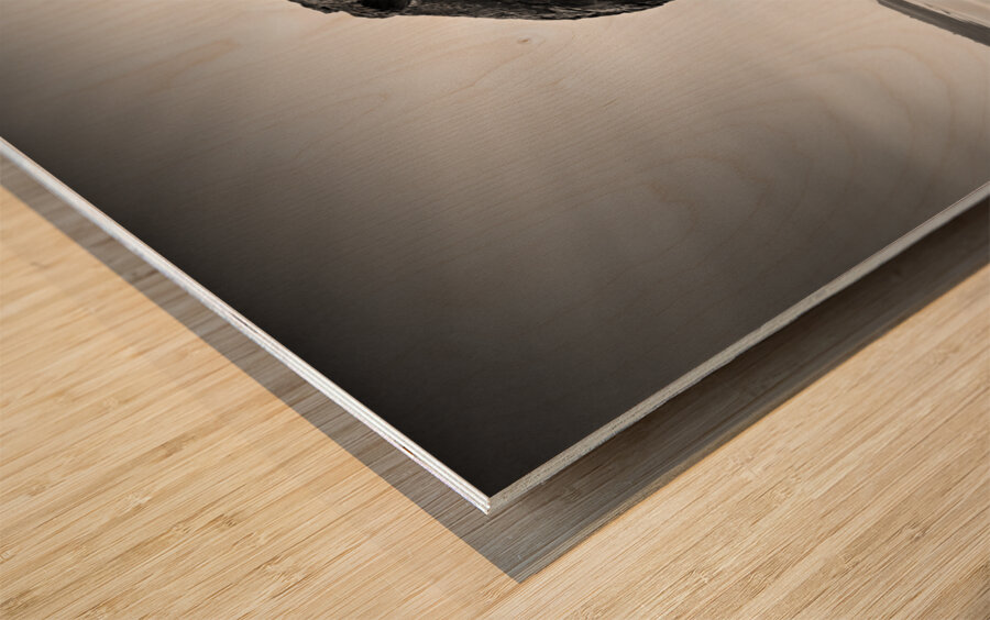 Whalebone Wood print