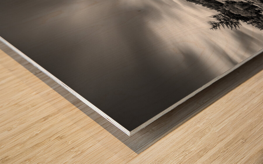 Castle Fraser Wood print