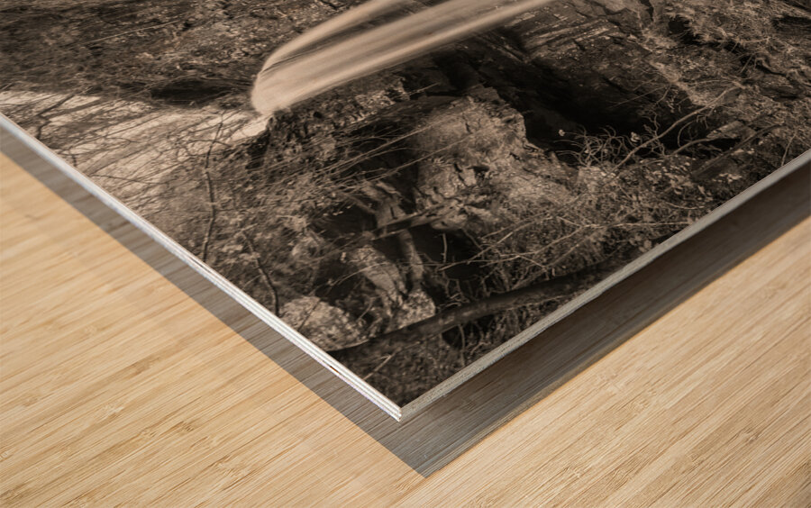 Melincourt Falls Wood print