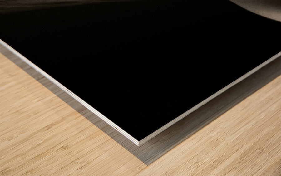 Nude Study  No4 Wood print