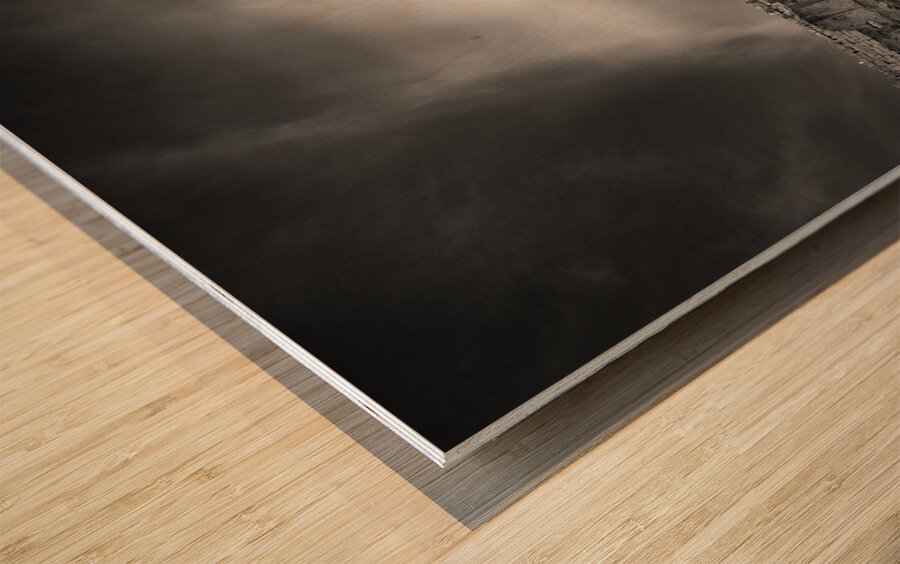 Inside the Roman Colosseum Wood print