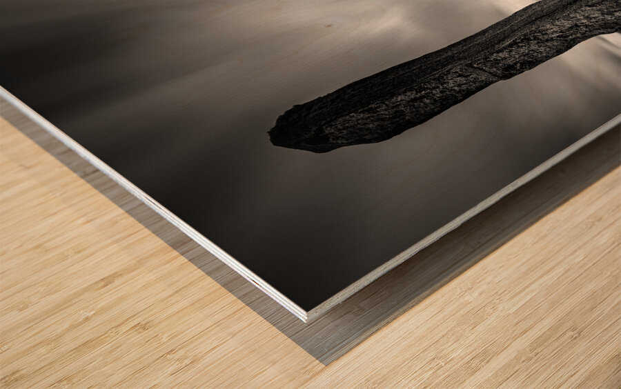 Callanish Stones II Wood print