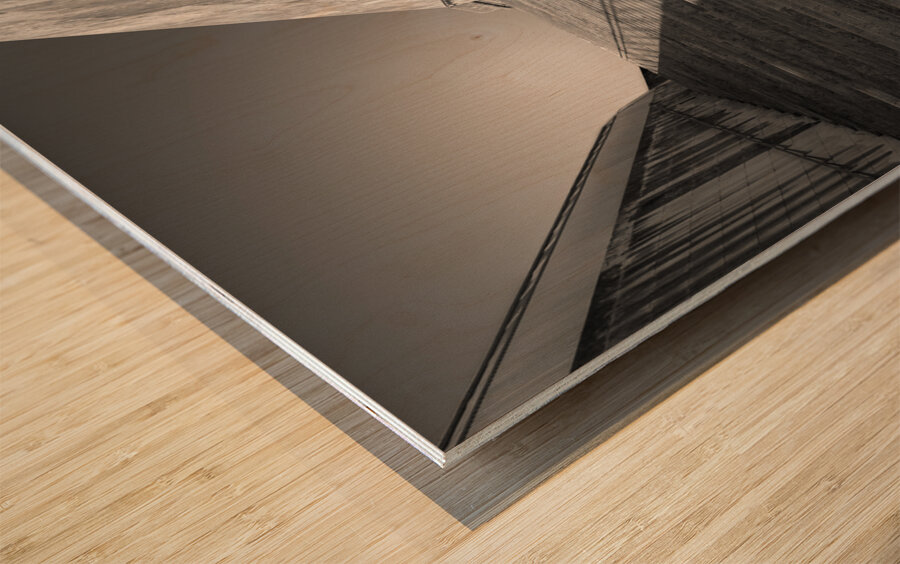 Valletta City Gate Steps Wood print