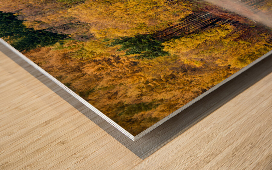 Autumn on River Tummel Wood print